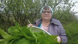 У ВАС Є КРОПИВА? -  Готуємо КОТЛЕТИ!