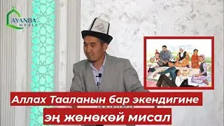 Аллах Тааланын бар экендигине эң жөнөкөй мисал. Устаз Шумкар