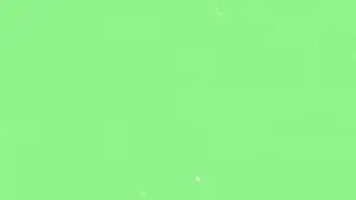 free white dust overlay green screen!