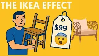 The IKEA Effect in Psychology: Why Effort Changes Value