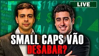 SMALL CAPS VÃO DESABAR COM AUMENTO DO JUROS?