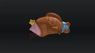 free- Gratis* _Bungeo- Ppang Hat_ Spotify Island / Roblox.