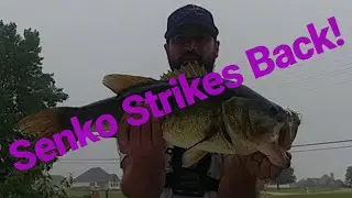 Senko Strikes Back (PB Senko fish) (BIG BASS)