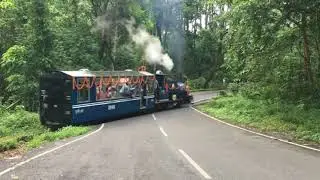 Indian Railways begins Jungle toy train safari on heritage Himalayan route