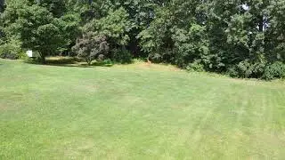 Momma deer and two fawns, backyard, 7.13.21