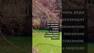 Стих дня 