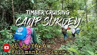 Camping & Survival di Belantara Hutan Kaltim // TIMBER CRUISING SURVEY "Episode 1"