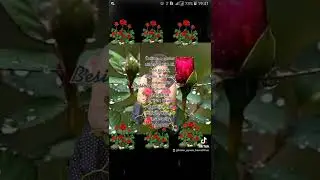 Özüme oqeder nifret ederimki Yene insanlarin ugrunda fedakarliq etdiyim ücün.Özümü mehv etdiyim ücün