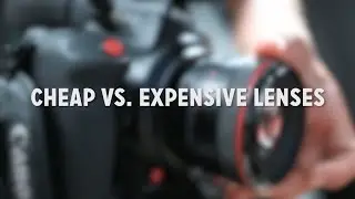 Cheap vs. Expensive Lenses: When Should You Upgrade?