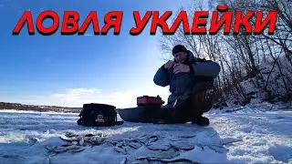 ЛОВЛЯ УКЛЕЙКИ