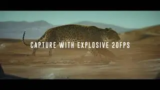 Canon EOS R6 - Born to Rule