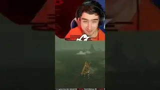 floors are a suggestion #shorts #breathofthewild #thelegendofzelda #streamhighlights