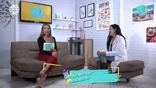 SEGMENTO MUNDO MASCOTA   Consejos para viajar con tu mascota