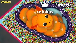 snake.io🐍Star snake skin🐍Star snake party,Zero to Hero gameplay Snake Struggle