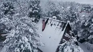 М. Ю. Лермонтов 