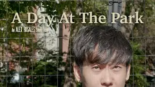 A Day at the Park