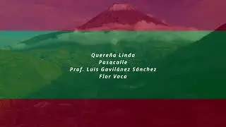 Quereña Linda- FLOR VACA