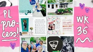 Project Life Process 2024- Week 36