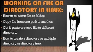 Rename file or directory  | cd cp mv mkdir | change directory | move command | linux commands in lab