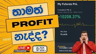 Profit  කරන්න හොදම විදිහ  |2024|10|12| at 8.00 pm
