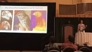 Gamboa: Using knowledge of local adaptation to inform reintroduction in the face of climate change