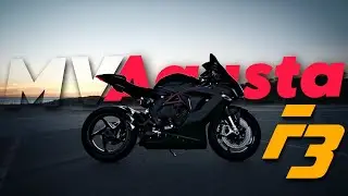 Brutal King 🤯 | MV Agusta F3 | Gustavo Bravetti - Babel #shorts