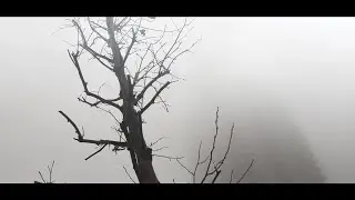 Winter Farewell ll وداع الشتاء