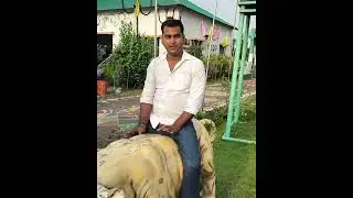 Arambagh hotel ma majak ho gya🤪 #travel #youtube #comedyvideo