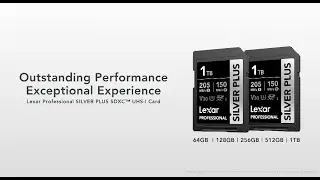 Lexar® Professional SILVER PLUS SDXC™ UHS-I Card