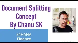 S4HANA Finance 'Document Splitting concept'-End to End S4HANA Document Splitting Configuration-Chanu