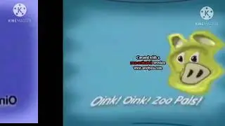 34 Zoopals