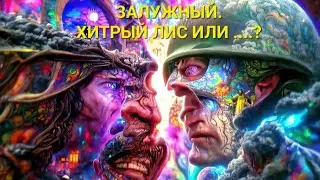 ЗАЛУЖНЫЙ. Хитрый лис или .....?👀😎