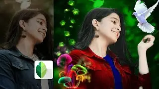 Snapseed Green And Bird Effect Photo Editing Tutorial | Snapseed Photo Editing | Best Photo Editing