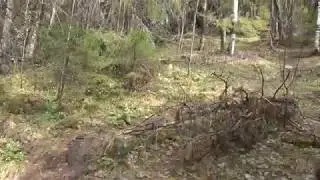 Гора Колпаки. поворот на тропинку