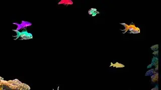 Under Water Fishes#underwater #underwaterworld #underwater #sea #river #water