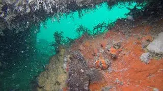 Life on the Valentine Tanks