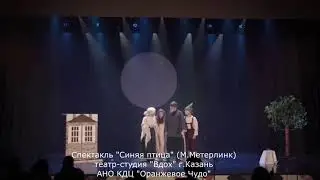 О проекте "НеСтоЛица"