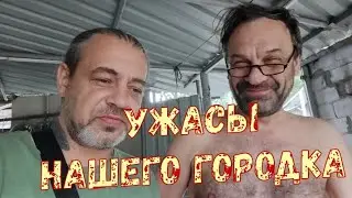 УЖАСЫ НАШЕГО ГОРОДКА