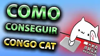 como tener bongocat para cámara y obs (2024)