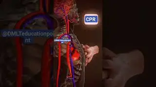 CPR #cpr //CPR देने का सही तरीका #youtubeshorts @DMLTeducationpoint