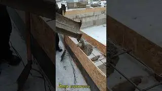 -5° Армопояс на ФБС блоки