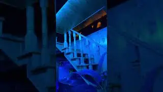 Отмечаем 8 марта девочками