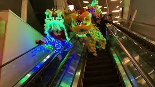 cny 2018 :: ykm lions & dragon parading aria las vegas casino