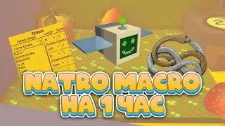 🤖МАКРОСЫ НА 1 ЧАС! NATRO MACRO БСС / Bee Swarm Simulator🐝