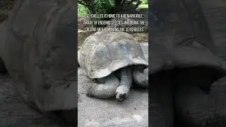 Why you should visit Seychelles