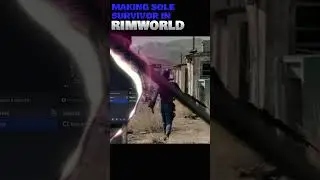 Sole Survivor (Custom Rimworld character) 