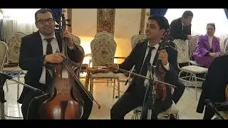 skripkada Samandarov Nuriddin
