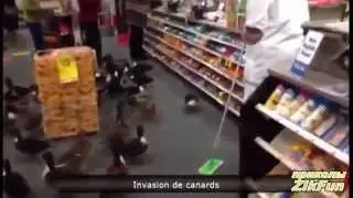 Самое лучшее,приколы,падения обломы 2014 Best funny videos