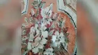 Варежка твист чистим ковер от шерсти