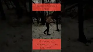 А вы тоже узнали себя в лесу? #юмор #приколы